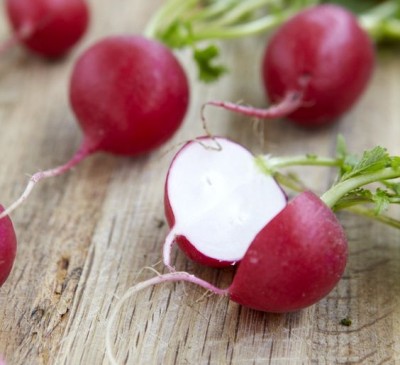 Radish  Ovale Rosa Siciliano  
